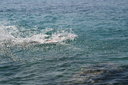 gal/cro 08/_thb_small-IMG_4928.JPG